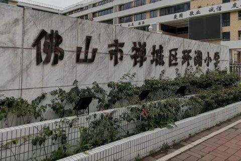 STEAM教育丨阳春已至，雷宇助力双城共育创客之花